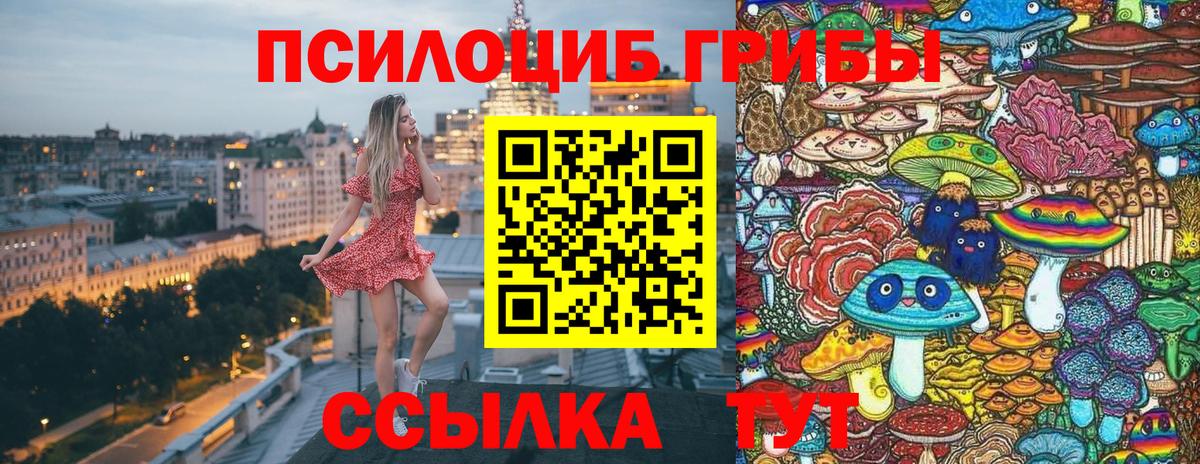 Галлюциногенные грибы Psilocybine cubensis Донской