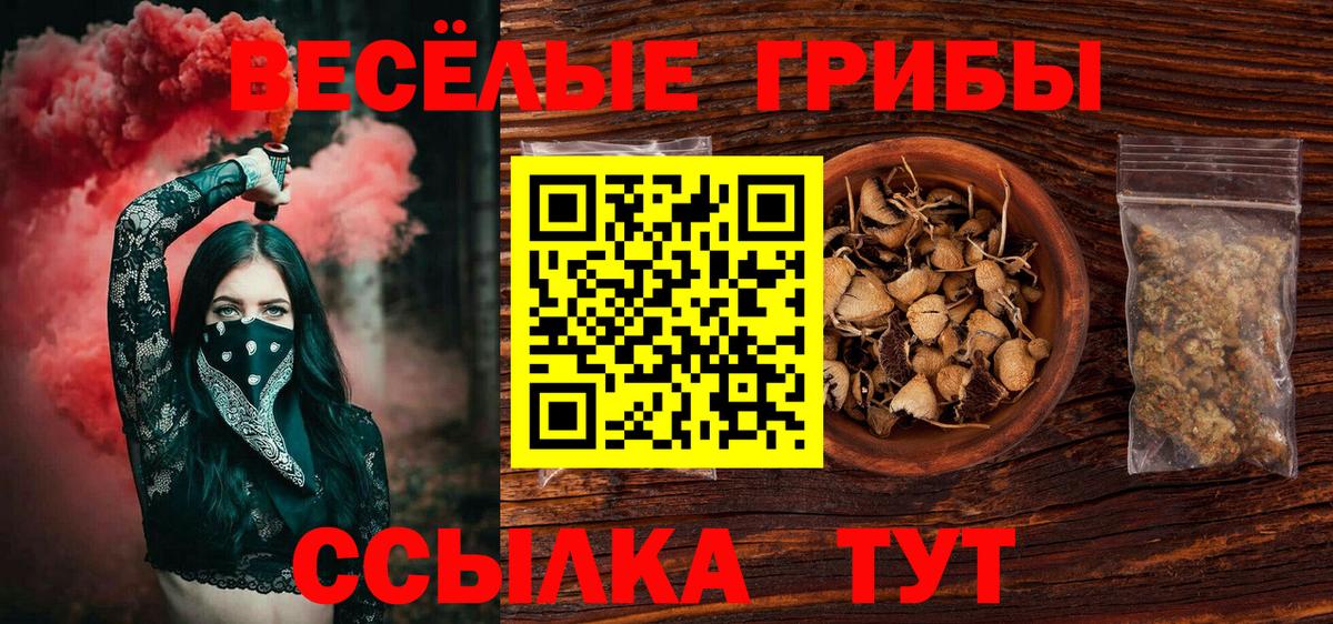 Псилоцибиновые грибы Magic Shrooms  продажа наркотиков  Донской  Вход с VPN 